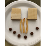 only for cookie bunny
