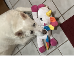 Roblox Doggo Squad