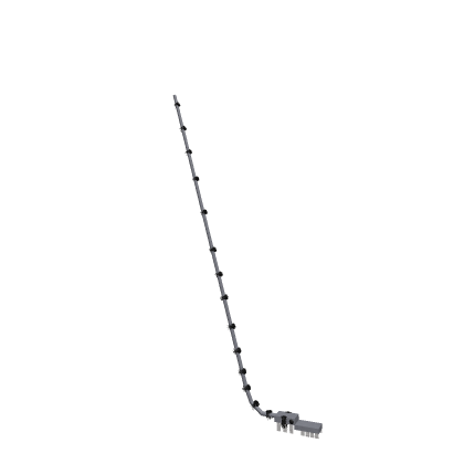 Long Horse