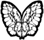 Pinecone Corporation