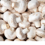 Itty Bitty Fungi