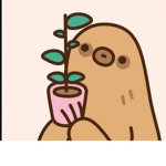 Benny the sloth