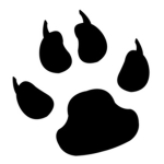 CatClaw Assassins