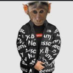 Noob_gang_lol