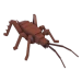 Catch Bugs!