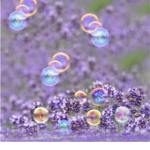 Lavanderbubble