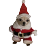 Woof Woof Games!