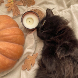 !autumn shop! Check game passes!