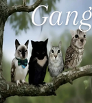 D3ATH’S RANDOM GROUP