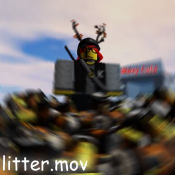 litter.mov