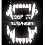 COF 六