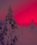 blood light