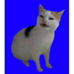 Acrobat Kats