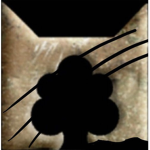 ·Shattered Admins·