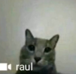 Drip Beans