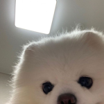 OoO ??