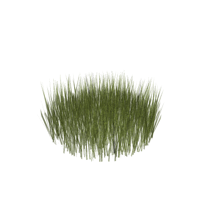 grass