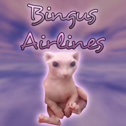 Bingus Airport