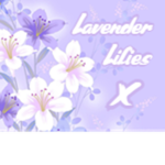 Lavender Lilies