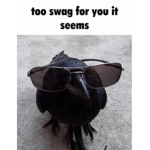 Friendly Robloxian