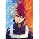 shoto todoroki 324