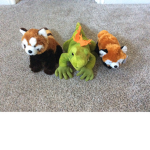red panda and iguana