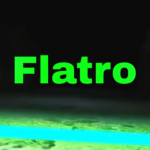 Flatro Team
