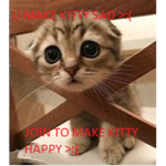 Kitten Army for life