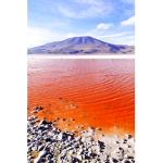 Red Sea Hotels