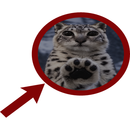 Paws At You Snow Leopard Cat