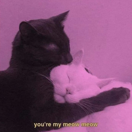 You’re my meow meow cats cute pink aesthetic Roblox decal