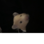 Honeyscave
