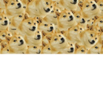 Doge Gang! Anyone Can Join! No slenders or cnps