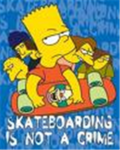 P&N Skateboarding Co.