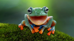 General Ribbit Studios