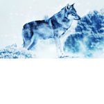 Mysticfallz2 fangroup