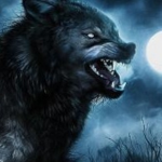 Fallen Wolf
