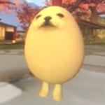 https_sqaxd