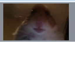 hi