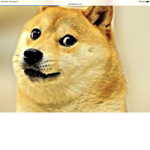 DOGE IS THE GOAT