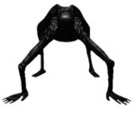 dog is coming
