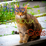 Projeto Robux Grátis