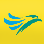 Cebu Pacific Air Virtual