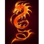 THE FIRE DRAGON SQUAD I