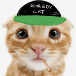 purrfectionxx