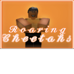Roaring cheetahs team