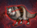 Wiild Wølves