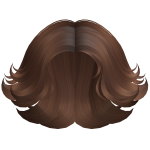 Feathered Curtain Bangs Hair