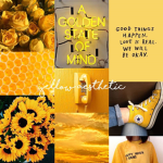 yellow is our favourite colour