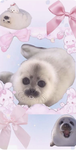 Seal lover army